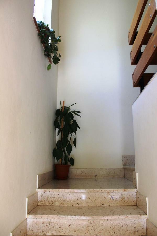 Apartments Markov Μούρτερ Εξωτερικό φωτογραφία
